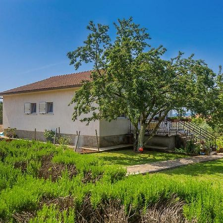 Apartments Marica Skrbčići Bagian luar foto